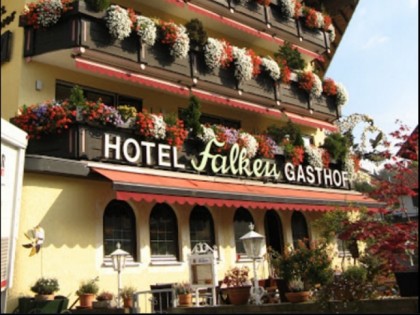 Foto: Falken